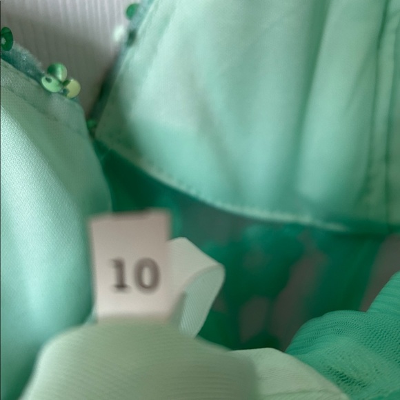 Stunning embroidered sequin stunner mini dress - Picture 8 of 9